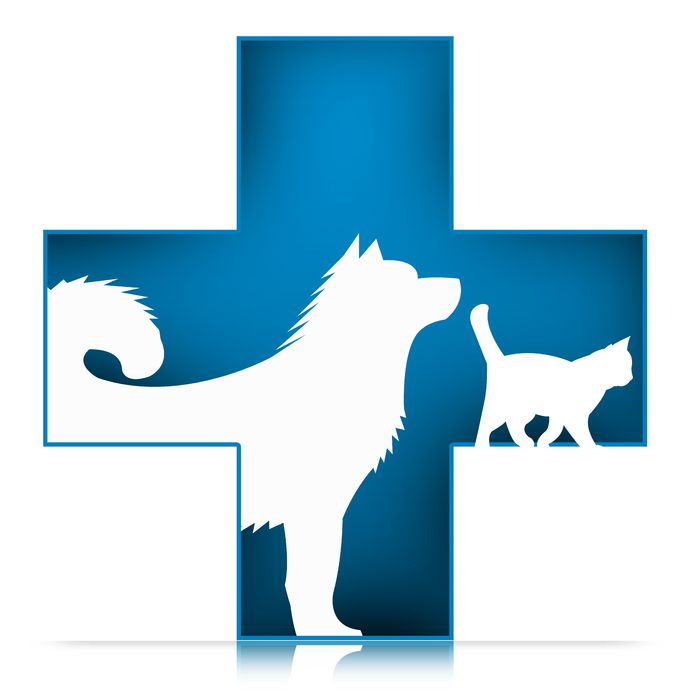 Ticino : Consulenza nutrizionale per cani e gatti