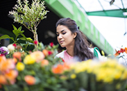 Sion : Superbe Magasin de Fleurs à vendre