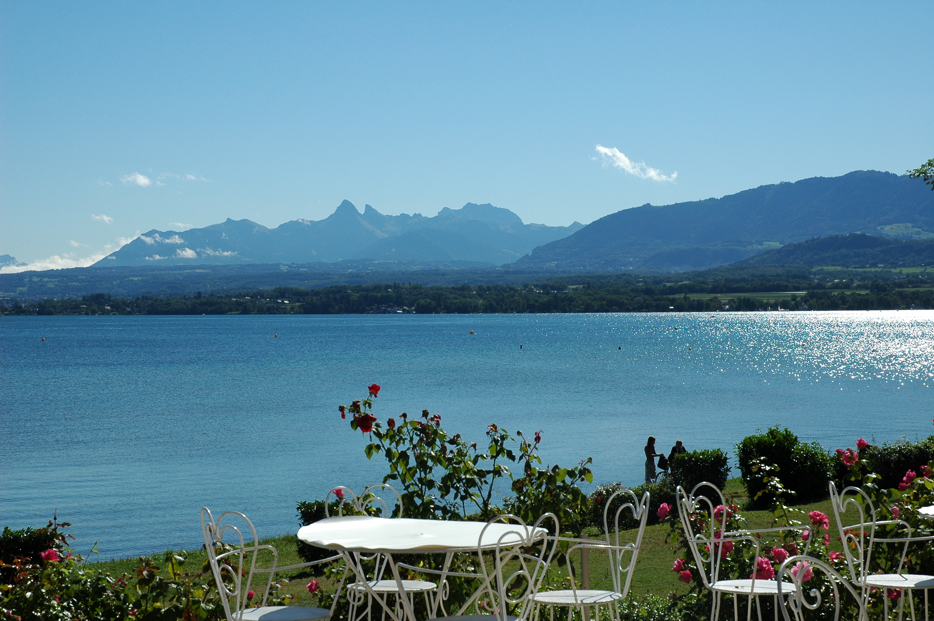 MONTREUX - VEVEY : BEL HÔTEL - RESTAURANT FACE AU LAC  À REMETTRE